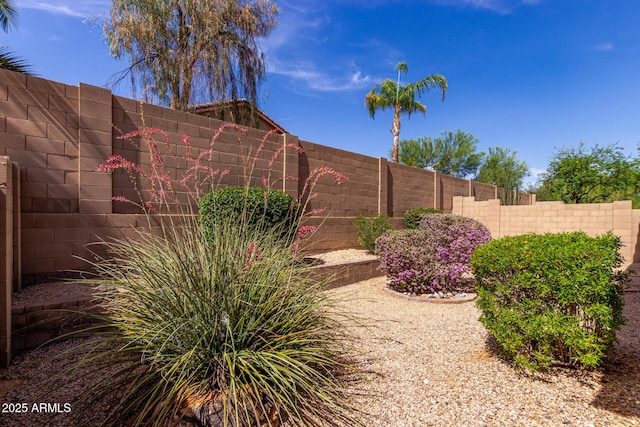 2556 W Amber Sun Dr, Phoenix, AZ 85085 - view of fenced backyard