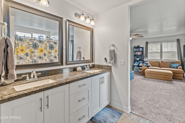 bathroom with wood-type flooring, a wealth of natural light, and vanity