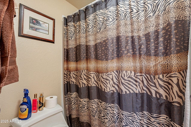 1825 W Ray Rd Unit 1068, Chandler, AZ 85224 - bathroom with a textured wall and a shower with shower curtain