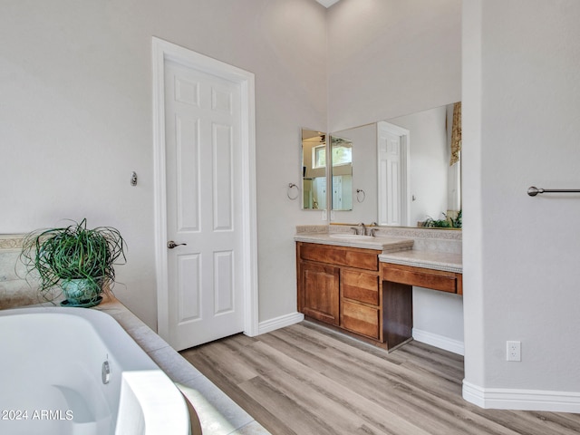 bathroom with a bathing tub, hardwood / wood-style floors, and vanity