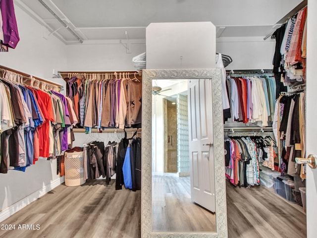 spacious closet featuring hardwood / wood-style flooring