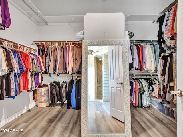 3220 W Feather Sound Dr, Anthem, AZ 85086 - spacious closet with a ceiling fan and wood finished floors