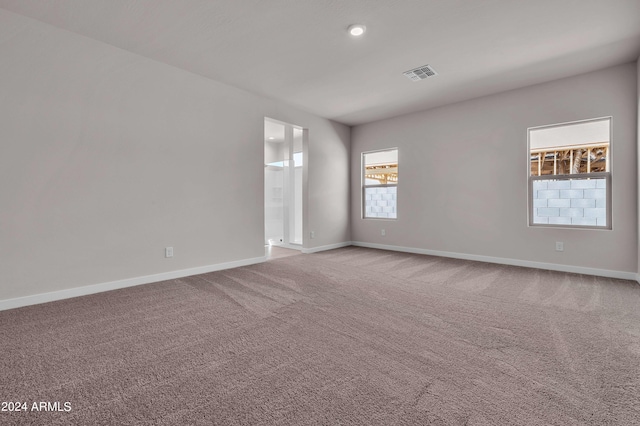 spare room with carpet