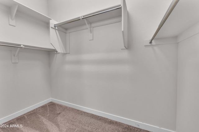 walk in closet featuring carpet