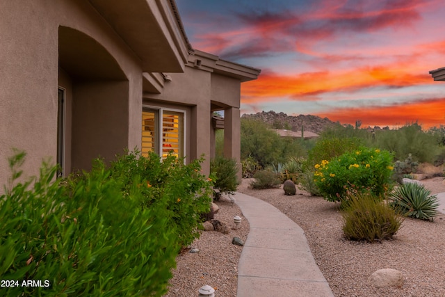 view of yard at dusk