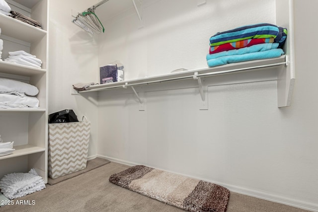 spacious closet featuring carpet floors