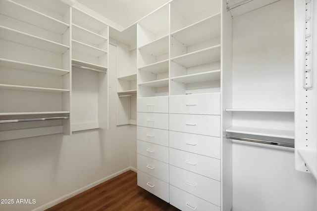 walk in closet with dark wood-type flooring