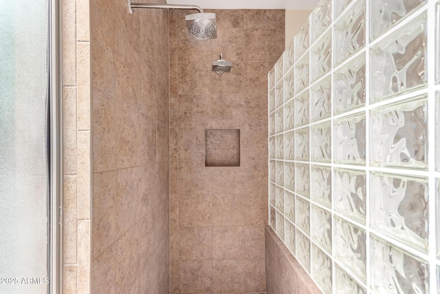 1453 E Elgin Pl, Chandler, AZ 85225 - full bath with a walk in shower
