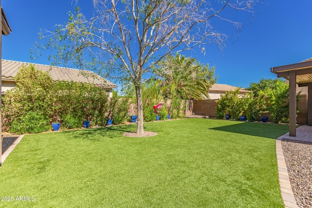 1453 E Elgin Pl, Chandler, AZ 85225 - view of yard