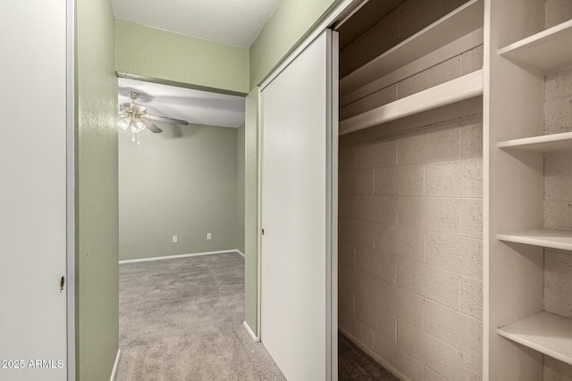 hall featuring carpet floors, concrete block wall, and baseboards