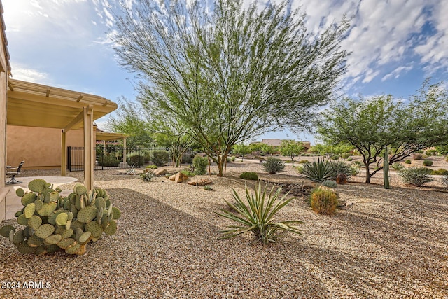 view of yard featuring a patio