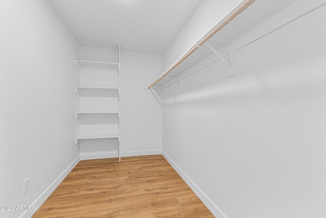 spacious closet with wood-type flooring