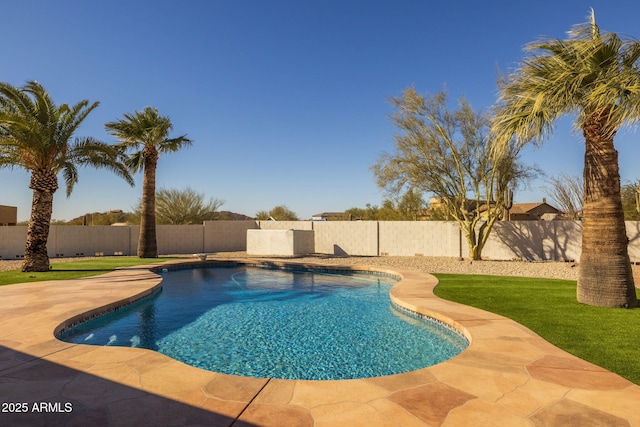 view of pool with a patio