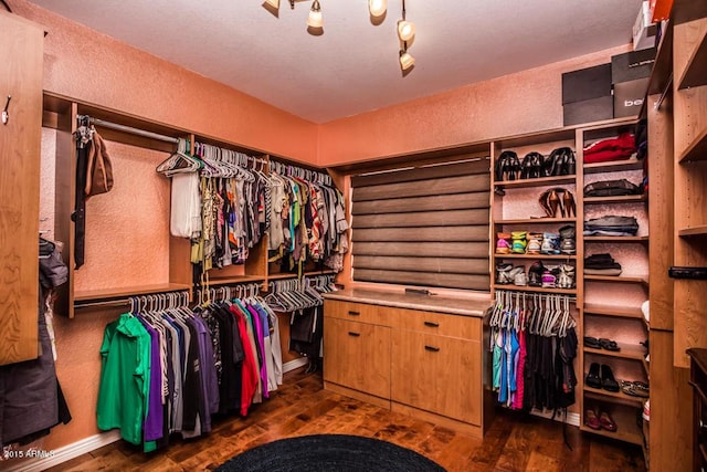 16446 N 59th St, Scottsdale, AZ 85254 - spacious closet featuring wood finished floors
