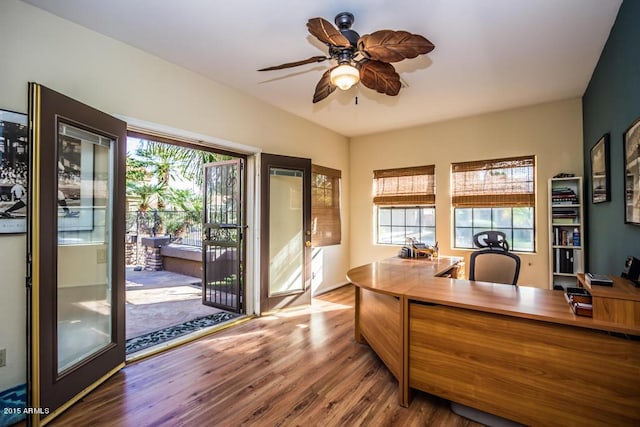16446 N 59th St, Scottsdale, AZ 85254 - office area with a wealth of natural light, ceiling fan, and wood finished floors