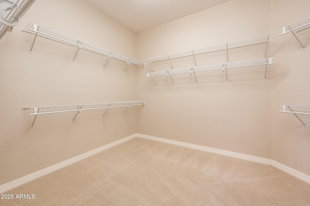 spacious closet with carpet flooring