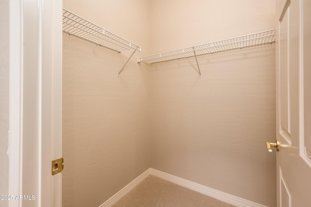 spacious closet featuring carpet