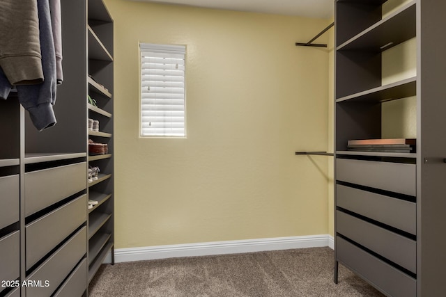 walk in closet featuring carpet floors