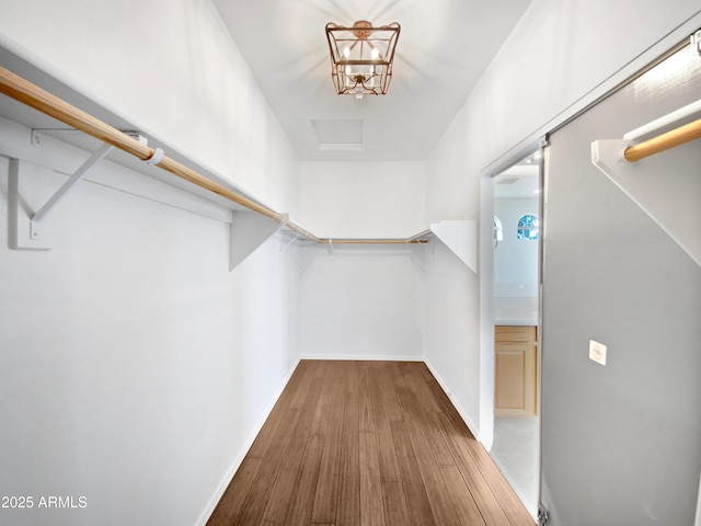 spacious closet featuring hardwood / wood-style flooring