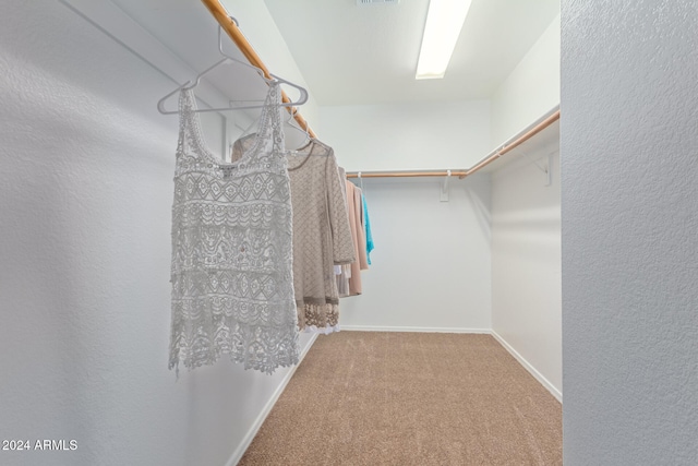 spacious closet with carpet flooring