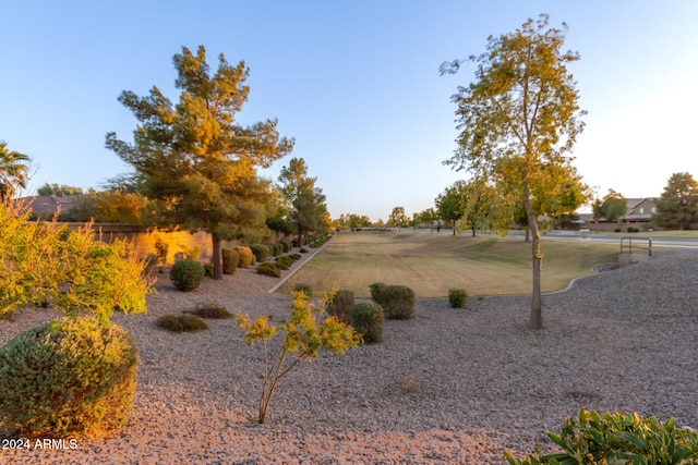view of yard