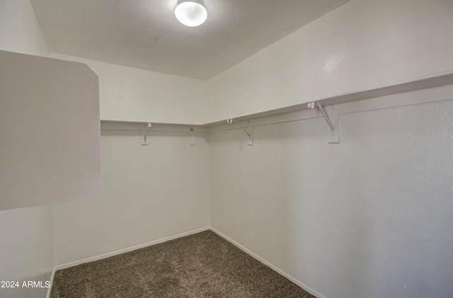 walk in closet with carpet flooring and vaulted ceiling