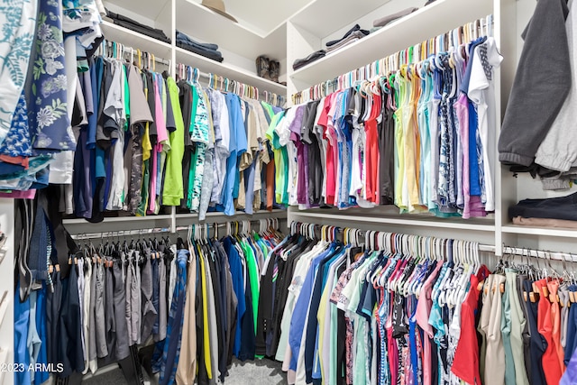 walk in closet featuring carpet