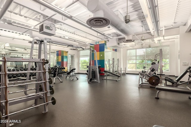 exercise room featuring a wealth of natural light