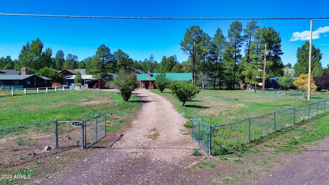 view of yard