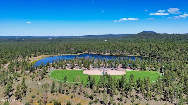 bird's eye view featuring a water and mountain view