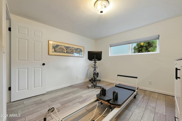 workout room featuring light hardwood / wood-style floors