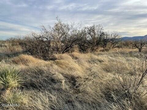 Listing photo 2 for 000 N Ed W Rd -, Unit Tombstone AZ 85638