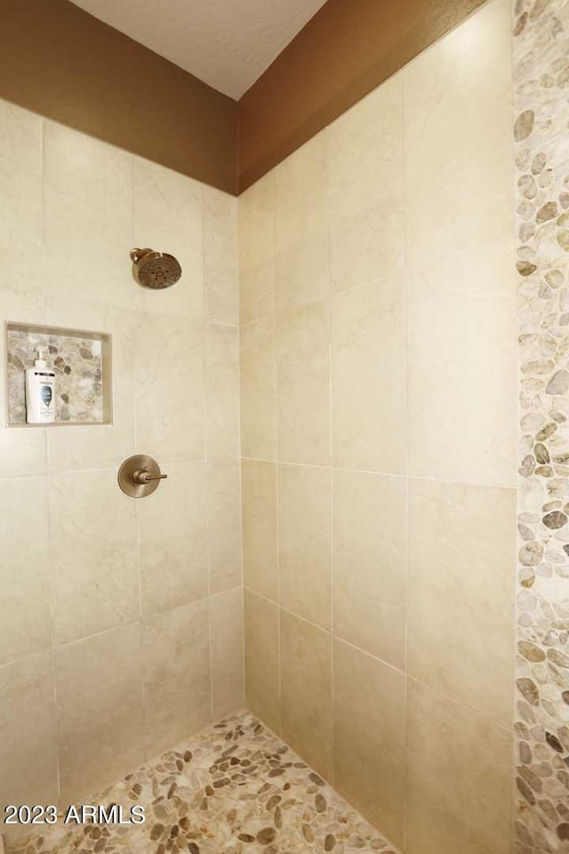 full bathroom with a tile shower