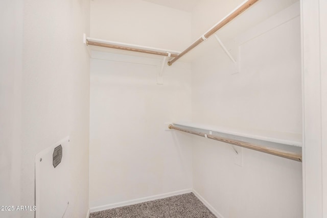 2401 E Rio Salado Pkwy Unit 1048, Tempe, AZ 85288 - walk in closet with carpet floors
