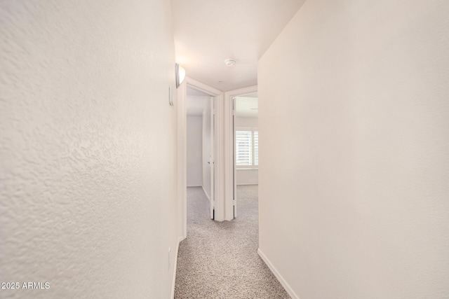 2401 E Rio Salado Pkwy Unit 1048, Tempe, AZ 85288 - hall featuring baseboards and carpet floors