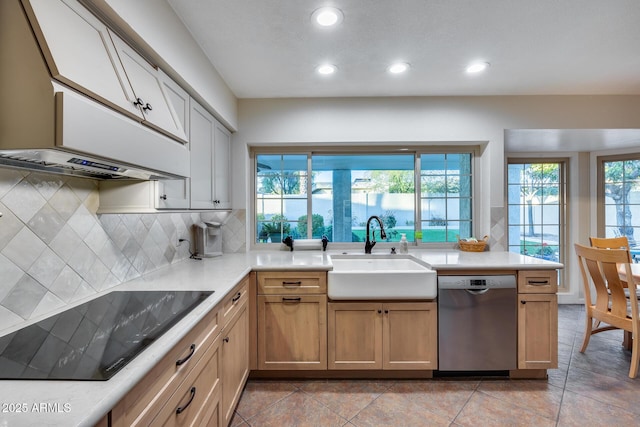 kitchen featuring sink, tasteful backsplash, black electric cooktop, plenty of natural light, and dishwasher