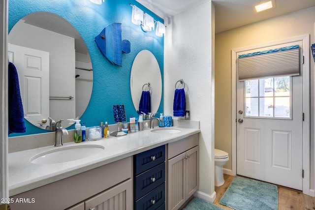 bathroom with vanity, wood-type flooring, and toilet