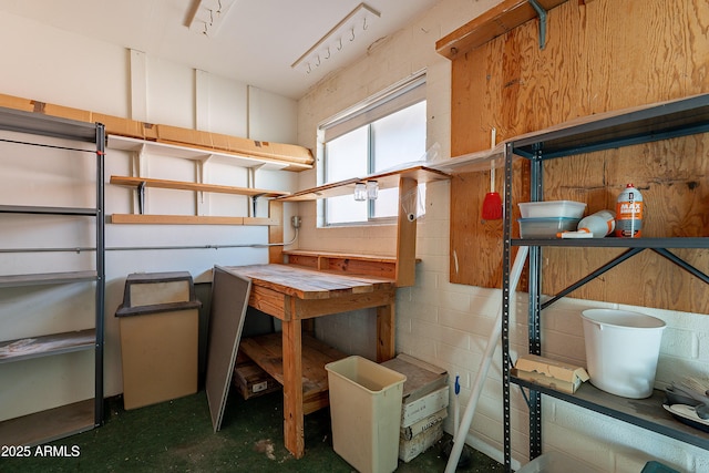 10335 W Mission Ln, Sun City, AZ 85351 - view of storage room
