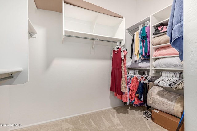 spacious closet with carpet floors