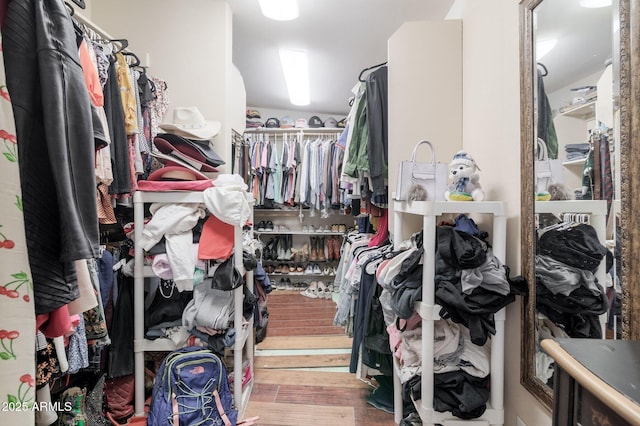 walk in closet featuring wood finished floors