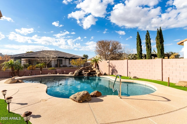 view of pool featuring a patio