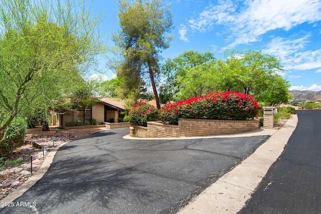 view of asphalt driveway