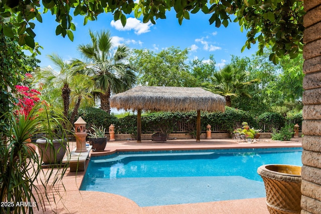 view of swimming pool