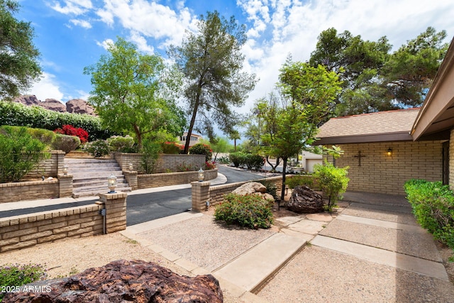view of yard with a patio