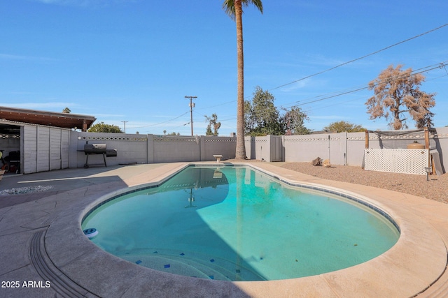 view of swimming pool featuring area for grilling and a patio area