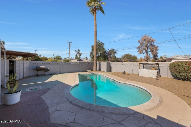 view of pool with a patio area