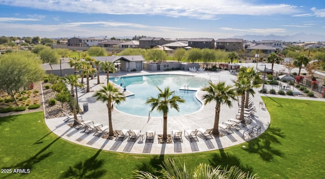 view of swimming pool featuring a yard and a residential view