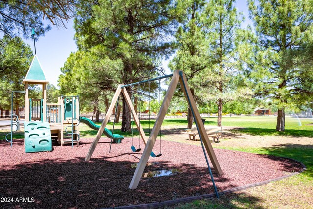 view of jungle gym