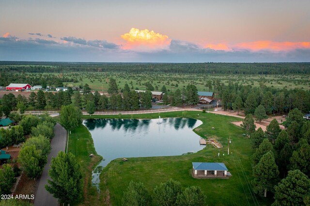 aerial view at dusk with a water view