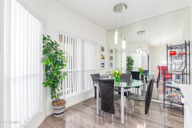 dining area with wood finished floors, a wealth of natural light, and baseboards